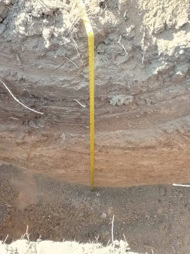 Layers of soil exposed in the wall of a test pit beside a measuring tape